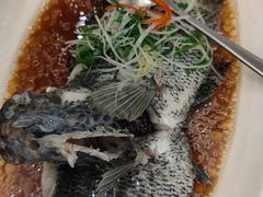 -骏莱海鲜鱼港(五角场店)