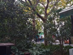 -西湖外事游船(花港观鱼码头)