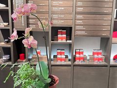 -王德传茶庄(上海新天地店)