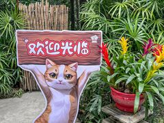 -广州兰圃
