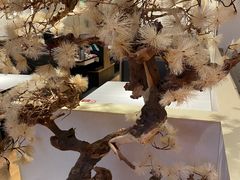 -九毛九西北菜(番禺万达店)
