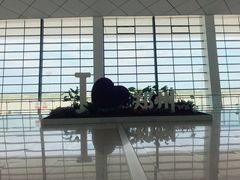 -郑州新郑国际机场-T2航站楼
