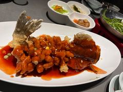 特色松鼠鱼（苏州招牌菜）-姑苏家宴·苏帮菜·松鼠桂鱼(苏州总店)