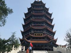 -铁山坪森林公园