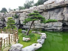 android_upload_pic-中国唐苑