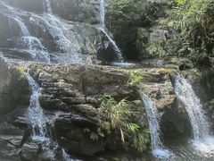 -鼎湖山风景区