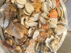 -山东八大碗山东老字号