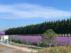 -嘉北郊野公园