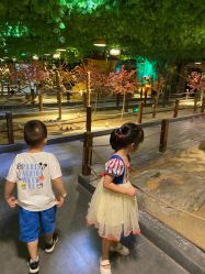 -酷嗒动物文化乐园(cutezoo西溪乐天城店)