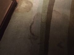 -宁波九龙湖开元度假村