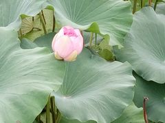 -宝泉胜境旅游度假区