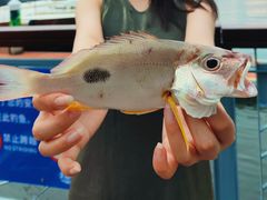 -小猫钓鱼海钓俱乐部(椰梦长廊店)