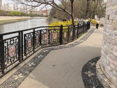 -桃花堤公园
