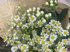 -亭亭鲜花店(中山北路店)