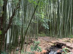 -竹泉村旅游度假区