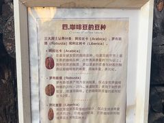 -田德能咖啡博物馆