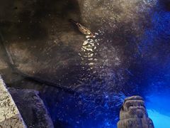 -淀里船宴(卓达店)