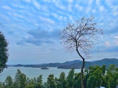 -天目湖涵田半山温泉