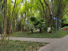 -望江楼公园