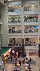 -首都医科大学附属北京儿童医院