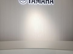 -雅马哈乐器专卖店(广州旗舰店)