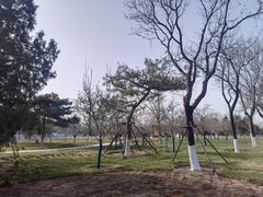 -中国人民抗日战争纪念雕塑园