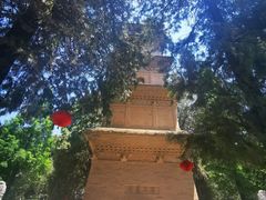 -兴教寺