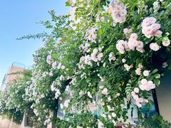 -南城香(四路通店)
