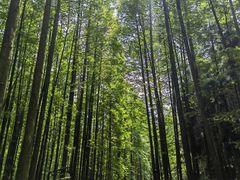 -山王坪喀斯特国家生态公园