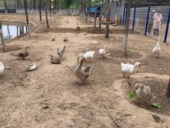 -东郊湿地公园