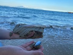 -大梅沙海滨公园