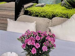 -许家菜.艺创菜(仁和新城店)