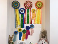 -Husky Go! 哈士奇体验馆·宠物咖啡厅狗咖