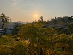 -炭舍干锅·烤鱼(扬名广场店)