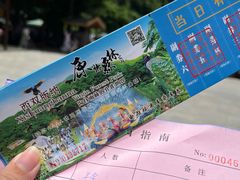 -西双版纳原始森林公园