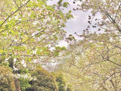 -堤角公园