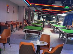 -刘莎莎台球俱乐部