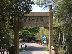 -紫金山天文台