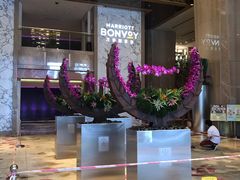 -广州粤海喜来登酒店