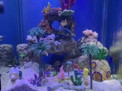 -上海海昌海洋公园