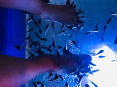 -汤连得温泉馆(宝山店)