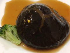 -众善素食(佛平五路店)