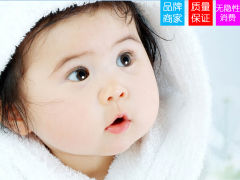 杨红梅国际少儿美术教育基地(图)-深圳