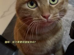 -四月宠物医院·猫专科·心脏专科·内科(转塘店)