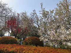 -云龙湖旅游景区