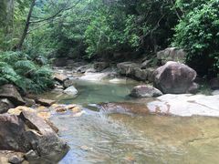 -广州白江湖森林公园