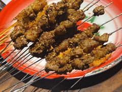 肥瘦-多寿小电烤