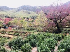 -塔川景区