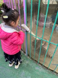 点击看大图 -萌宠亲子动物乐园(槐房万达店)