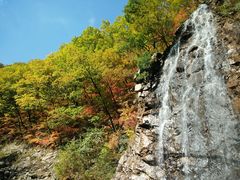-龙道沟景区